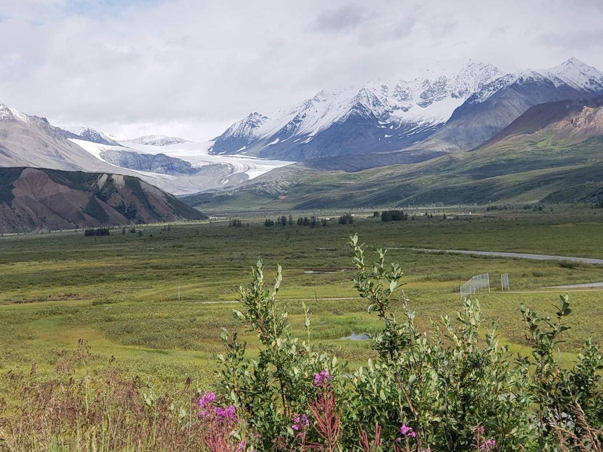 Denali Wild Stay - Moose Cabin, Free Wifi, 2 Private Bedrooms, Sleep 6 Healy Exteriör bild