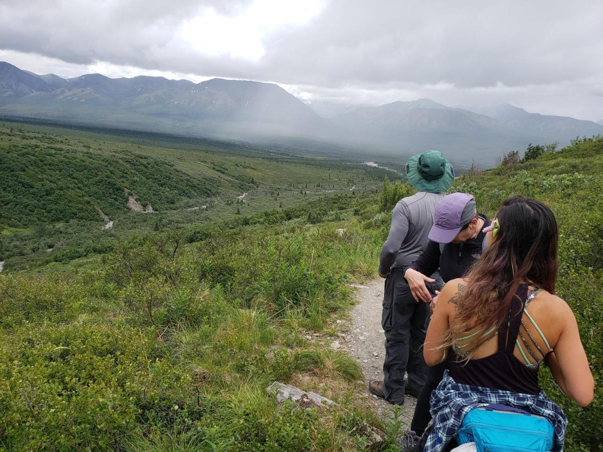 Denali Wild Stay - Moose Cabin, Free Wifi, 2 Private Bedrooms, Sleep 6 Healy Exteriör bild