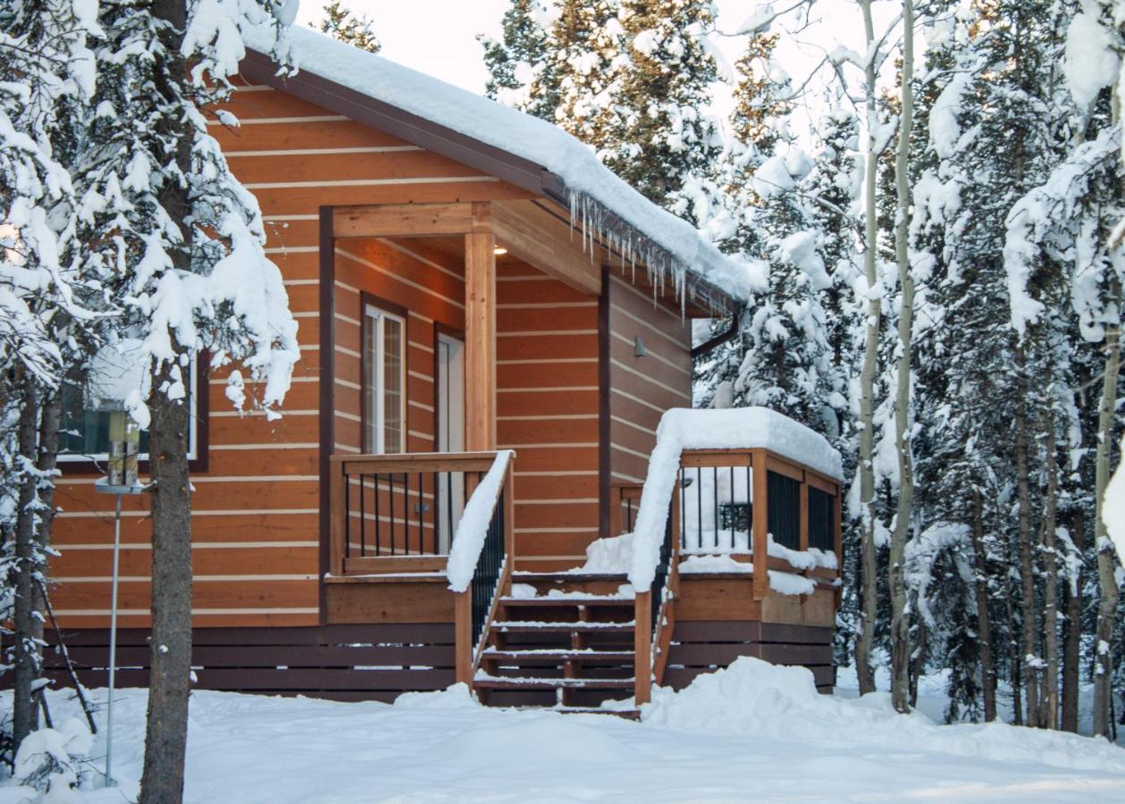 Denali Wild Stay - Moose Cabin, Free Wifi, 2 Private Bedrooms, Sleep 6 Healy Exteriör bild