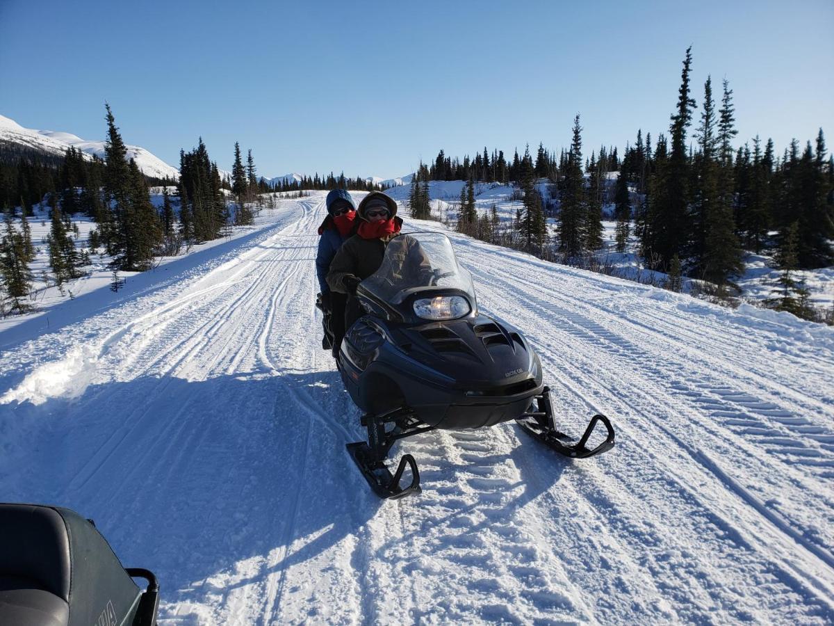 Denali Wild Stay - Moose Cabin, Free Wifi, 2 Private Bedrooms, Sleep 6 Healy Exteriör bild