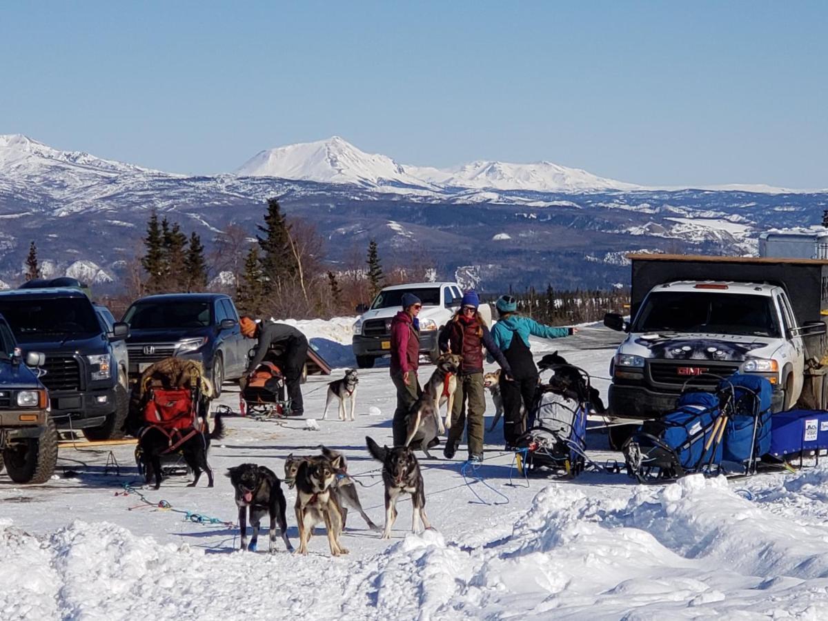 Denali Wild Stay - Moose Cabin, Free Wifi, 2 Private Bedrooms, Sleep 6 Healy Exteriör bild