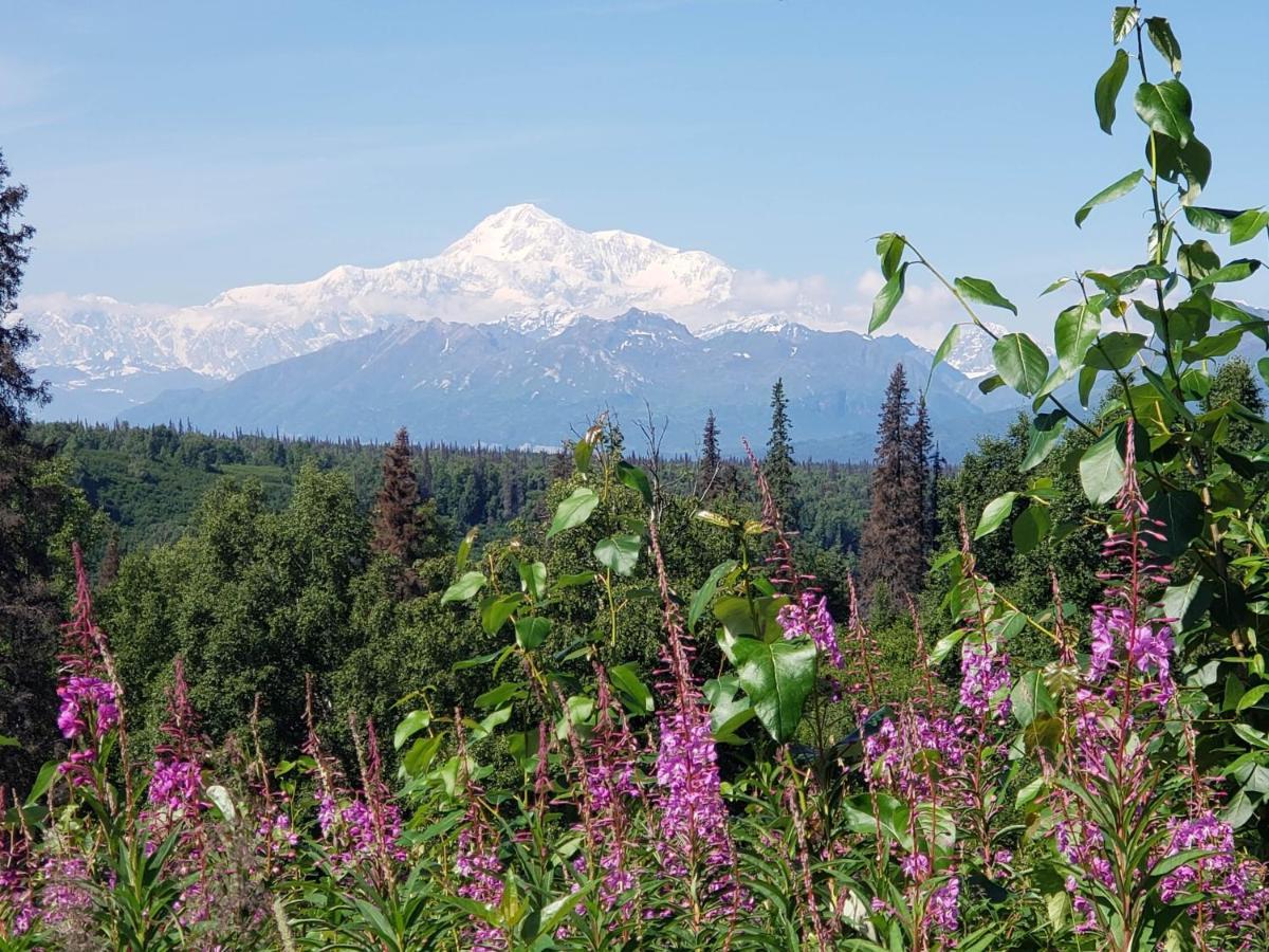 Denali Wild Stay - Moose Cabin, Free Wifi, 2 Private Bedrooms, Sleep 6 Healy Exteriör bild