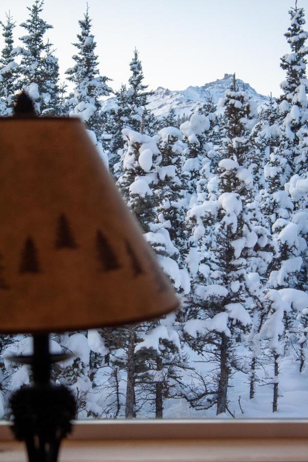 Denali Wild Stay - Moose Cabin, Free Wifi, 2 Private Bedrooms, Sleep 6 Healy Exteriör bild