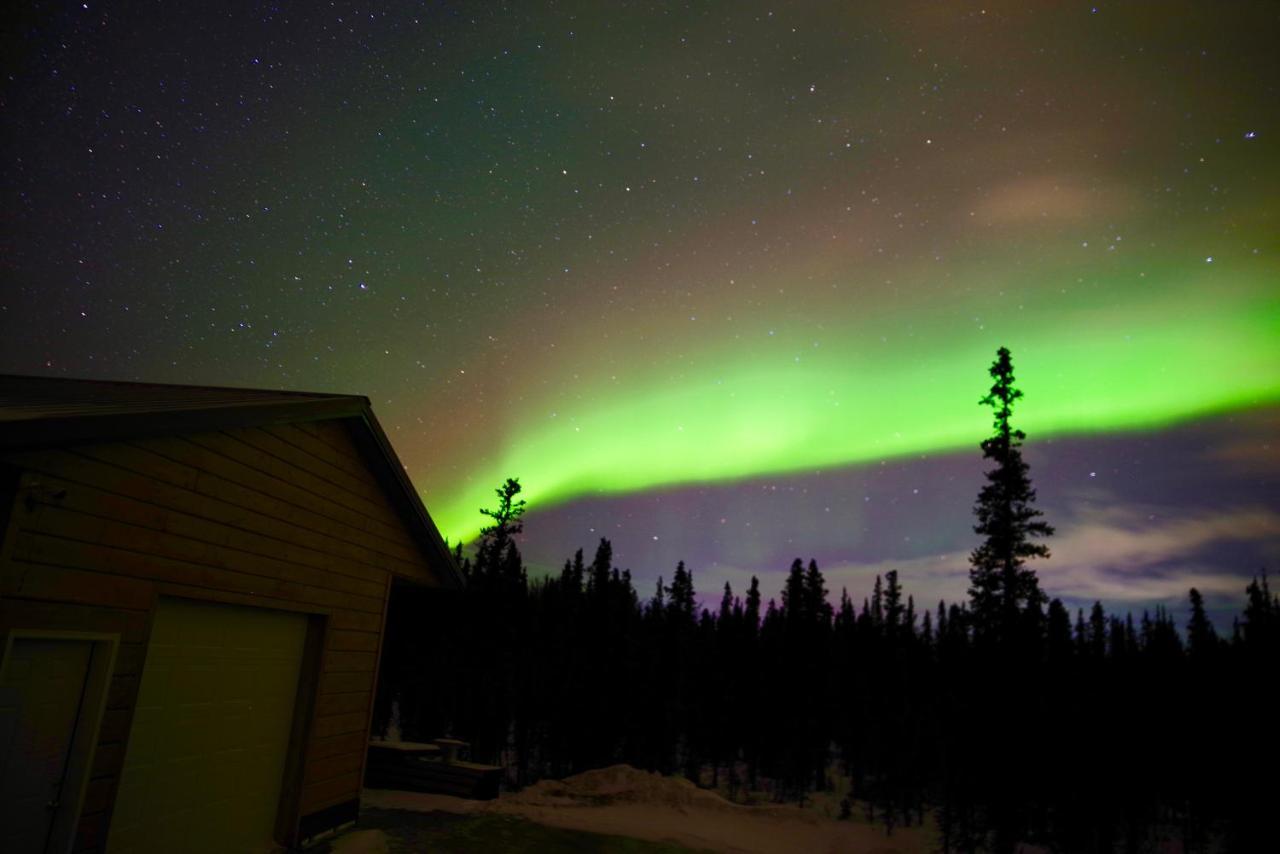 Denali Wild Stay - Moose Cabin, Free Wifi, 2 Private Bedrooms, Sleep 6 Healy Exteriör bild