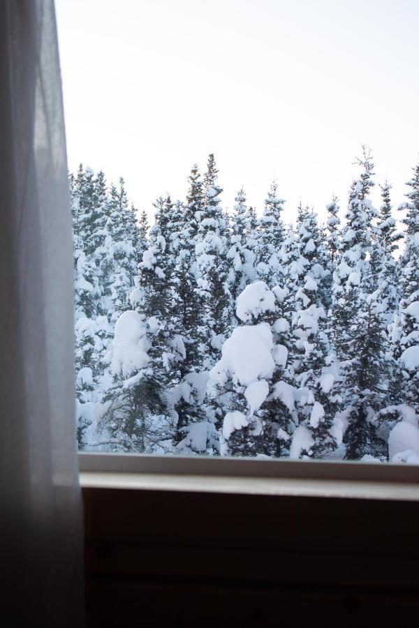 Denali Wild Stay - Moose Cabin, Free Wifi, 2 Private Bedrooms, Sleep 6 Healy Exteriör bild