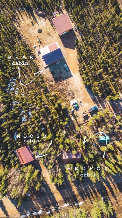 Denali Wild Stay - Moose Cabin, Free Wifi, 2 Private Bedrooms, Sleep 6 Healy Exteriör bild