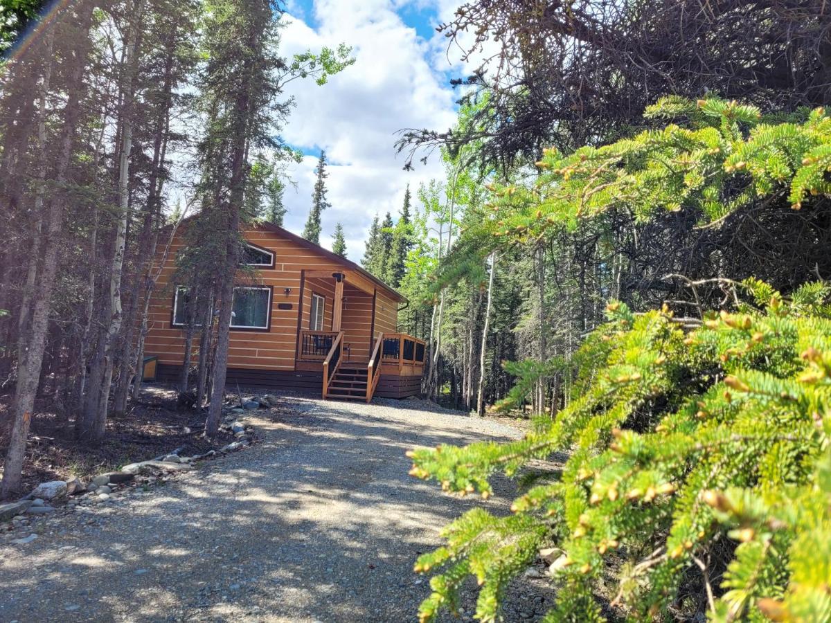 Denali Wild Stay - Moose Cabin, Free Wifi, 2 Private Bedrooms, Sleep 6 Healy Exteriör bild